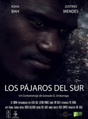 Los Pájaros del Sur