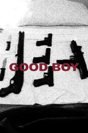 Good Boy