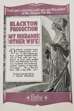 My Husband's Other Wife