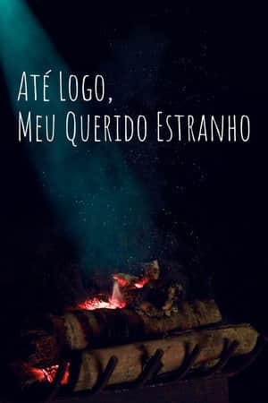 So Long, My Dear Stranger