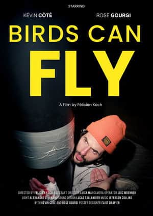 Birds can fly