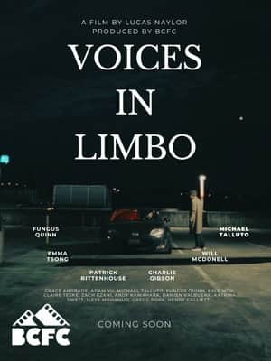 Voices In Limbo