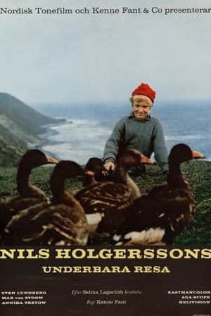 Wonderful Adventures of Nils
