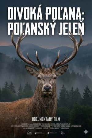 Divoká Poľana: Poľanský jeleň