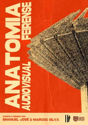 Anatomia Audiovisual Feirense