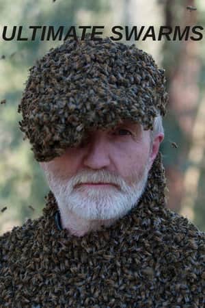 Ultimate Swarms