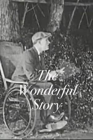 The Wonderful Story