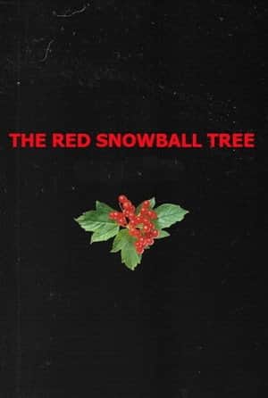 The Red Snowball Tree