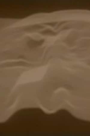 Tales from Beneath the Sheets