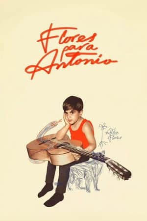 Flores para Antonio