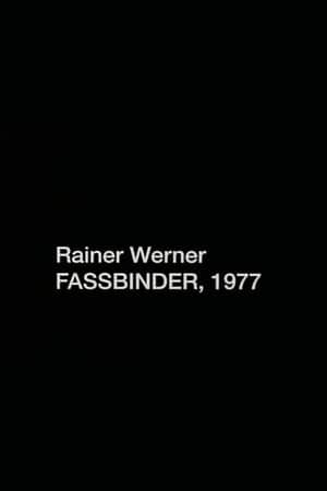 Rainer Werner Fassbinder, 1977