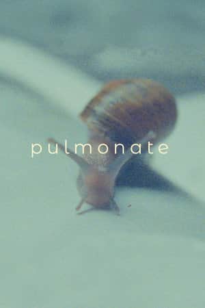Pulmonate