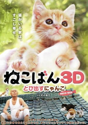 Nekoban: Cats in Your Life