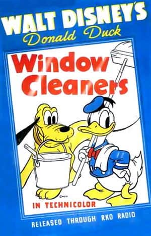 Window Cleaners