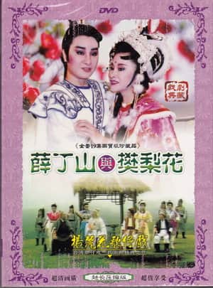 薛丁山與樊梨花