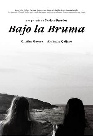Bajo la bruma