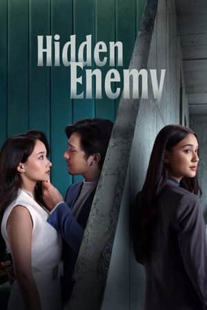 Hidden Enemy