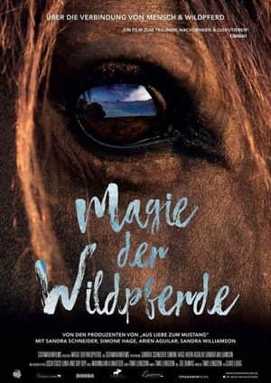 Magic of the Wild Horses