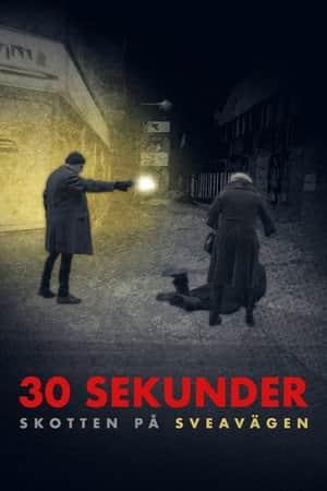 30 sekunder: Skotten på Sveavägen