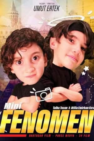 Mini Fenomen