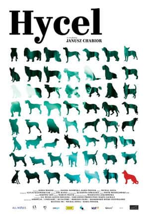 The Dogcatcher