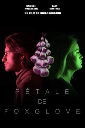 Pétale de Foxglove