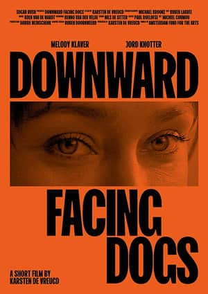 Downward Facing Dogs