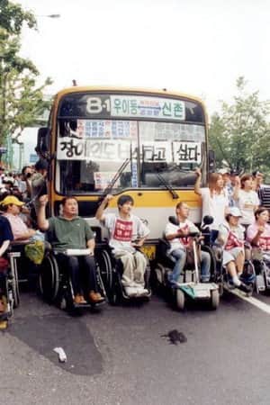 장애인 이동권 투쟁보고서 - 버스를 타자!