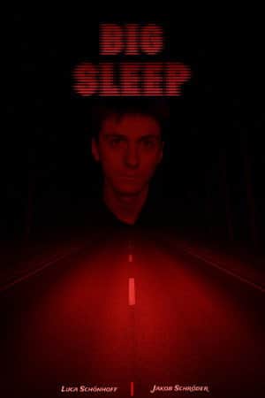 BIG SLEEP