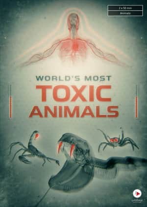 World's Most Toxic Animals