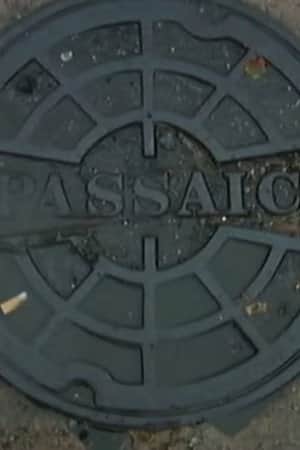 Passaic Mosaic