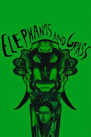 Elephants and Grass