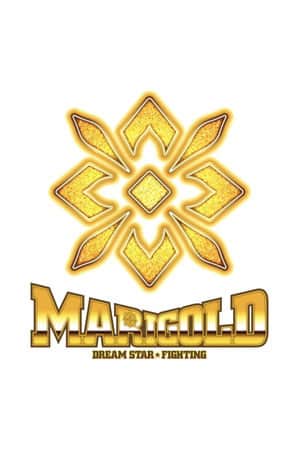 Dream Star★Fighting Marigold