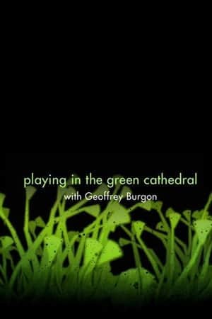 Playing in the Green Cathedral