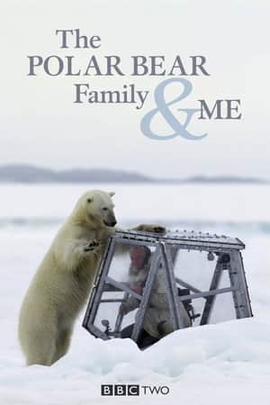 The Polar Bear Family & Me
