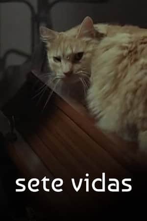 Sete Vidas