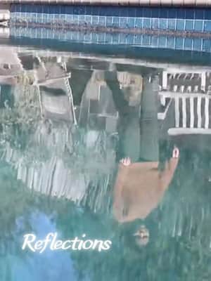Reflections