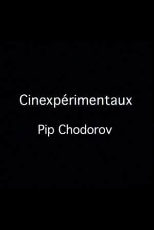 Cinexpérimentaux #4: Pip Chodorov