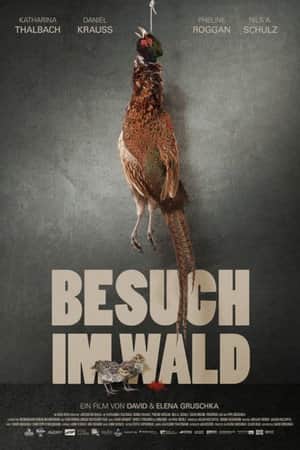 Besuch im Wald