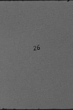 26