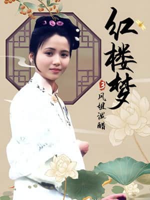 红楼梦第三部：凤姐泼醋