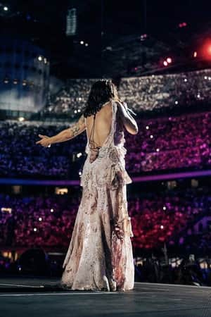 Elisa San Siro Live