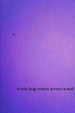 a tiny bug crawls across a wall