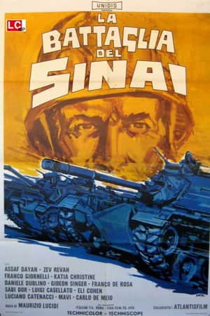 Five Days in Sinai