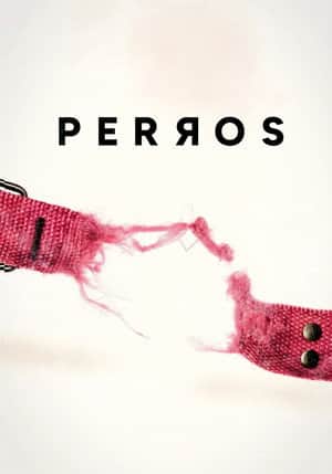 Perros