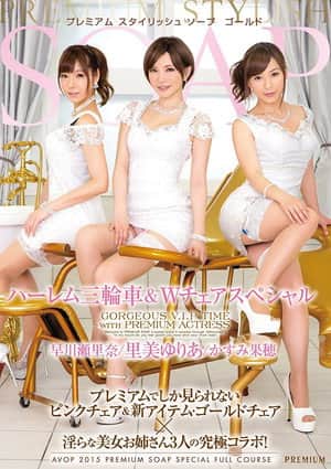 PREMIUM Stylish Soapland Goal – Harem Three-Way & Twin Chair Special