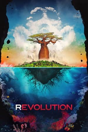 Revolution