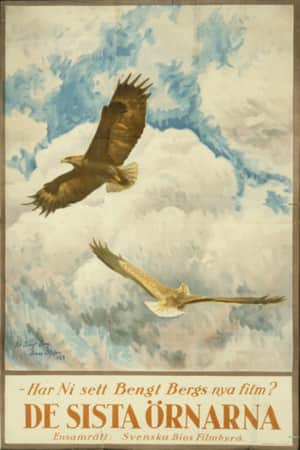 The Tale of the Last Eagles