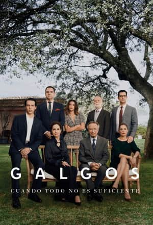 Galgos