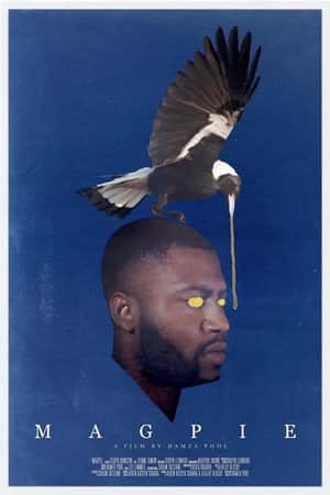 Magpie